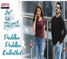 Peddha Peddha Kallathoti Telugu Single Song Poster