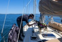 Right Boat for Fishing