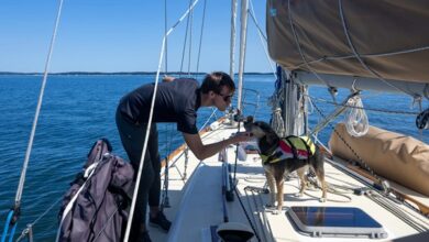 Right Boat for Fishing